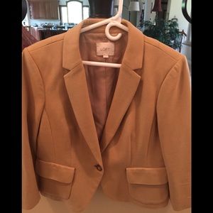 Ann Taylor Loft Suit